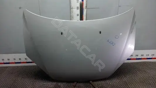Капот OEP04D201