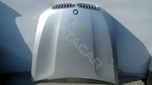 Капот BAG20D201