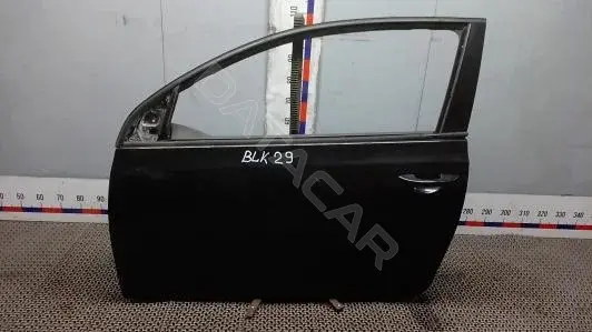 Дверь BLK29EN01