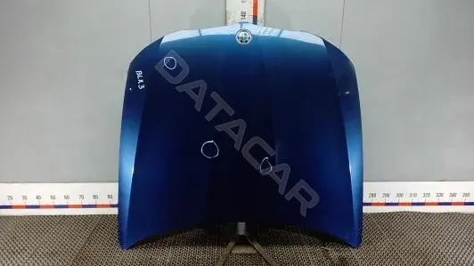 Капот BLK03D201