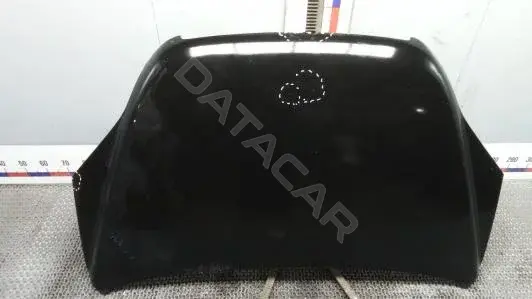 Капот TOK77D201