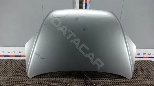 Капот ZOK58D201