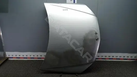 Капот BEP15D201
