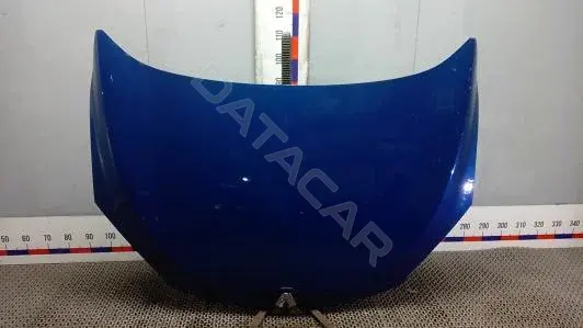 Капот OEP41D201