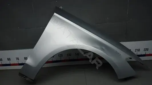 Крыло переднее FA102EC01
