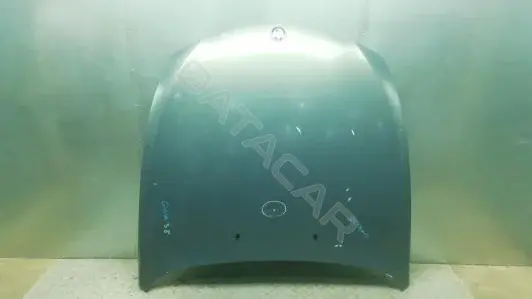 Капот GNK38D201