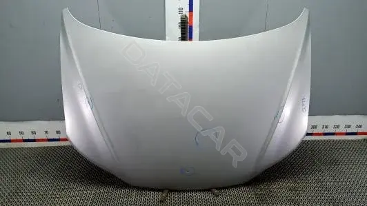 Капот 664002B030