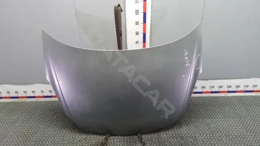 Капот 2OR40D201