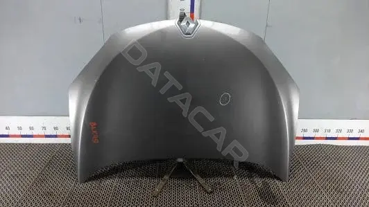 Капот 651009018R