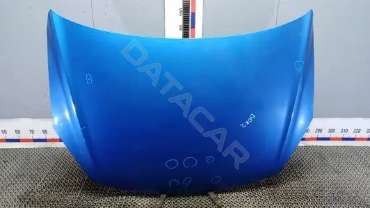 Капот DOK02D201