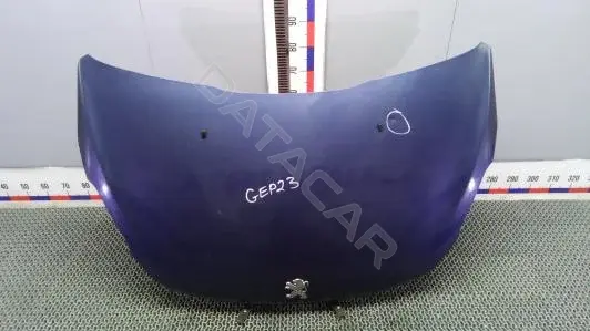Капот GEP23D201