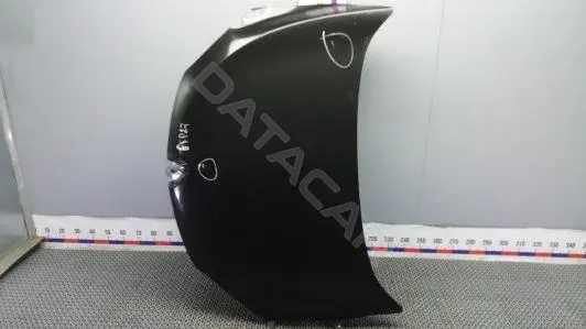 Капот 651009018R