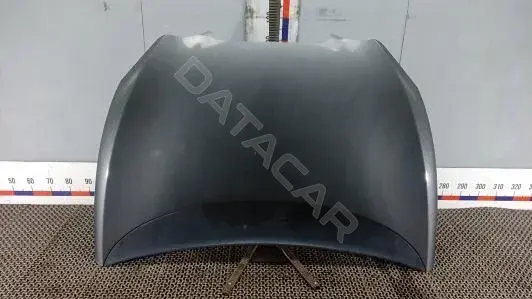 Капот BLK30D201
