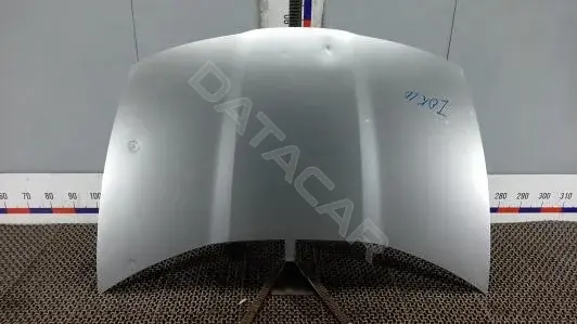 Капот ZOK10D201