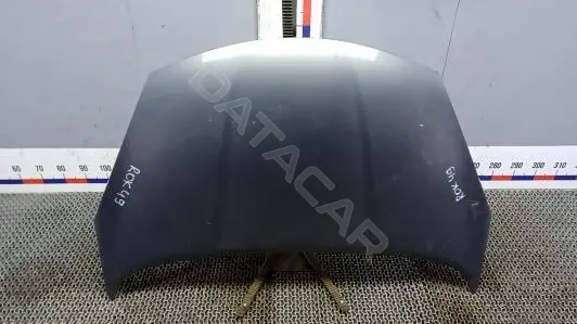 Капот ROK49D201