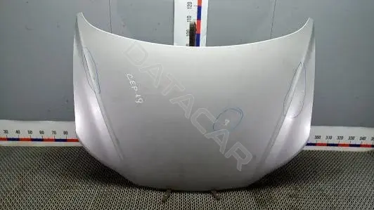 Капот 664002B500