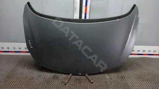 Капот WOK49D201