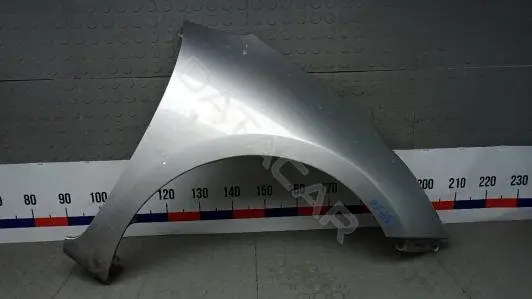 Крыло переднее XNP10EC01