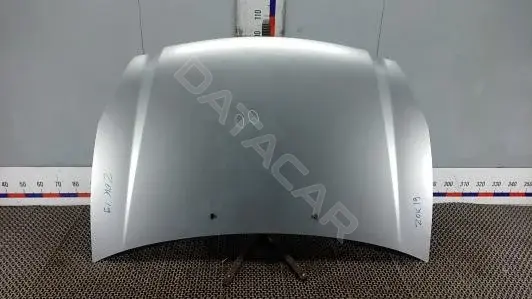 Капот ZOK19D201
