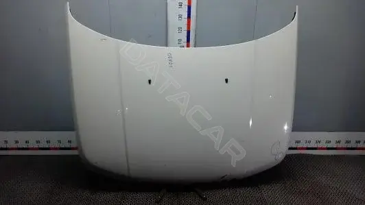 Капот OEP21D201