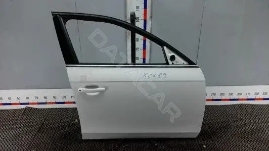 Дверь XOK89E201