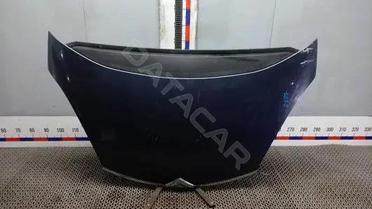 Капот OEP07D201
