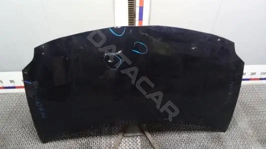 Капот 5330102160