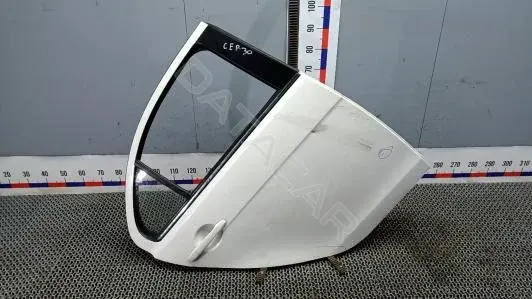 Дверь CEP30FT01