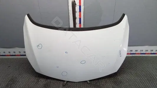 Капот KOK41D201