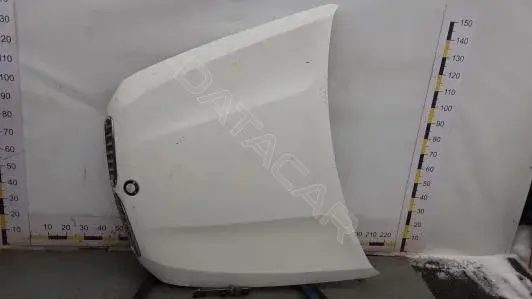 Капот 4BA13D201