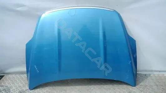 Капот HNK25D201