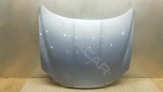 Капот GNK02D201