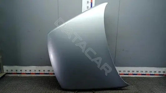 Капот DEP06D201