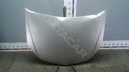 Капот DOK80D201