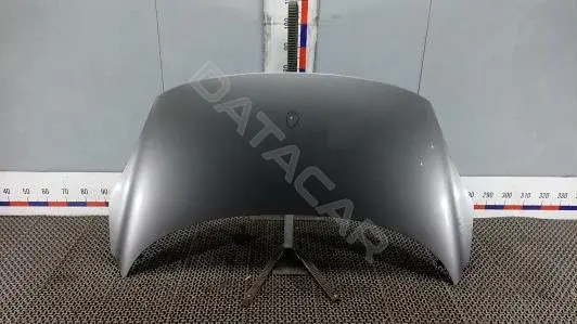 Капот ALK05D201