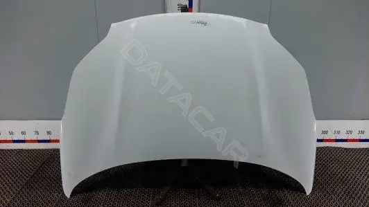 Капот 66400F1000