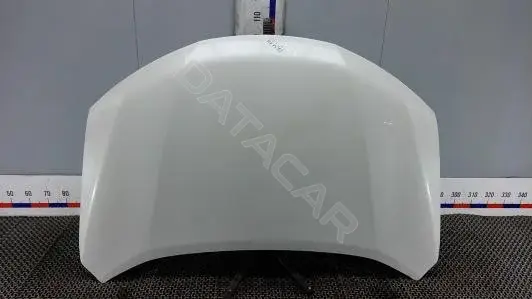 Капот PBM14D201