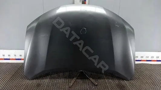 Капот PBM18D201