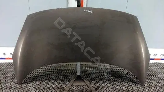 Капот PBM09D201