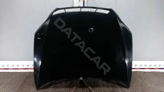 Капот PBM20D201