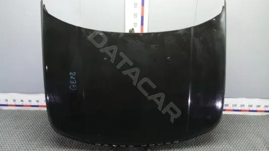 Капот GEP08D201