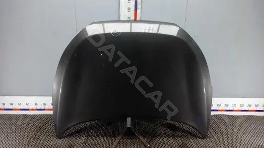 Капот 1SM20D201