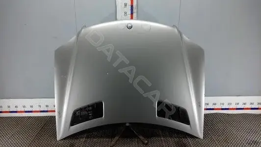 Капот 1SM13D201