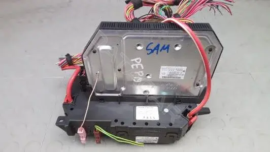 Блок SAM PEP19ZZ01