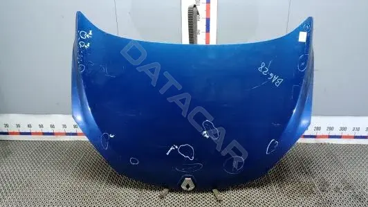 Капот BAG28D201