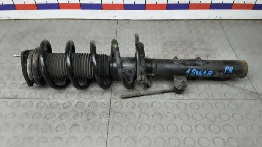 Амортизаторы 1SM18N801