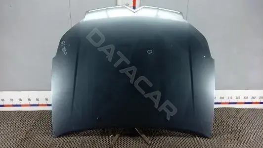 Капот ZOK39D201
