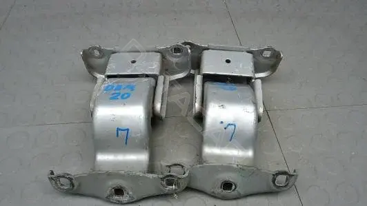 Петля двери DBM20R101