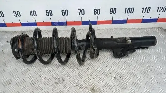 Амортизаторы 1BM24K801