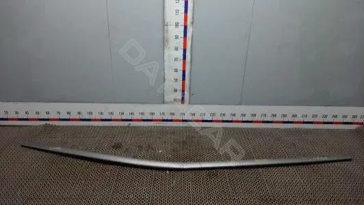 Молдинг крыши 7BM22S501